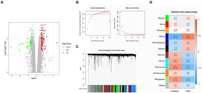 Identification and Mendelian randomization validation of pathogenic gene biomarkers in obstructive sleep apnea